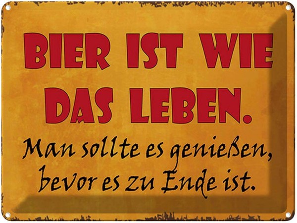 Blechschild 30X40 Cm Bier Ist Wie Das Leben Man Soll Spruch Zitat Deko Geschenk-image