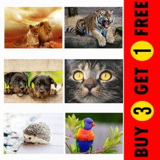 Cats Dogs Zoo Animals Birds Pets Picture Photo Poster Print Wall Art Home Decor