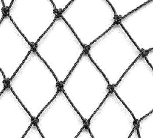 50' x 50' Heavy Knotted Aviary 2" Poultry Net Netting - Picture 1 of 2