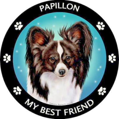 Limited Ed. PAPILLON DOG PET ANIMAL Pendant 925 Sterling Silver 18'' Chain