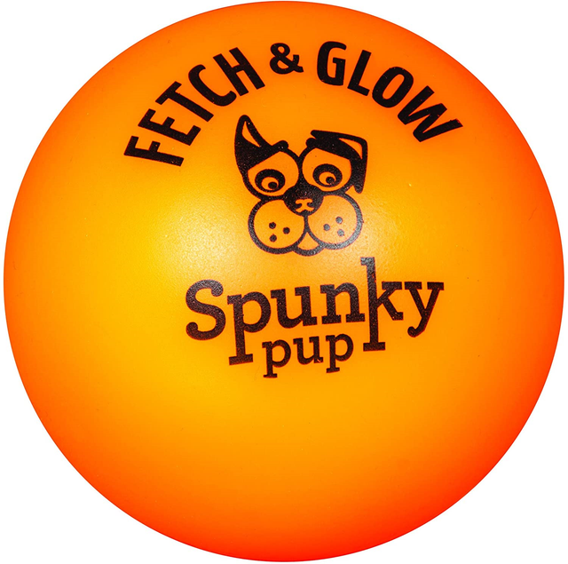 fetch and glow dog ball