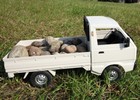 Bild 6 von 11