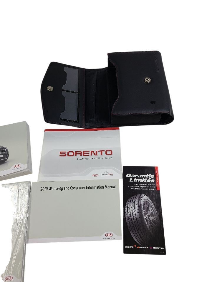 SORENTO   2019 Owners Manual 652271