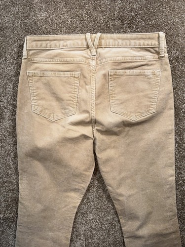 Pantaloni donna Vineyard Vines vita alta skinny in velluto a coste - taglia 28 ottimi! - Foto 6 di 6