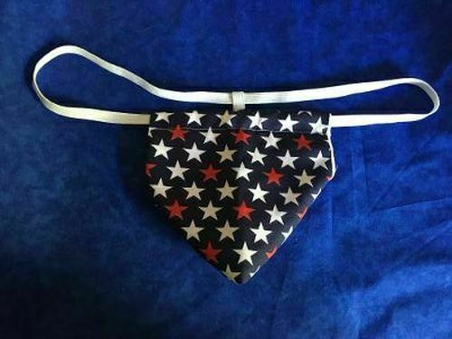 Herren USA AMERIKANISCHE FLAGGE STERNE patriotisch 4. Juli String Tanga Herren Unterwäsche - Bild 1 von 1