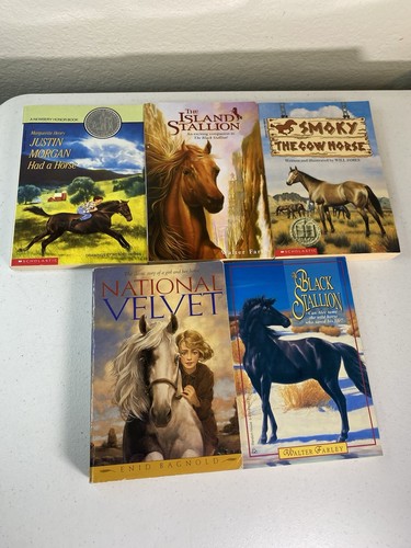 Youth Horse Books Kids - Lot of 10 - Thoroughbred Misty - Picture 15 of 15