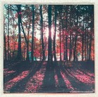 Bild 2 von 4