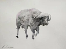 Bufallo, Animal, Watercolor artwork, Handmade, Original painting on paper