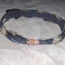 FEATHER HAT BAND 1 1/4" Wide Western Cowboy stetson mens womens pheasant