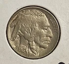 1913-D 5C Type 1 Buffalo Nickel Ch Gem Brilliant UNCIRCULATED Bu