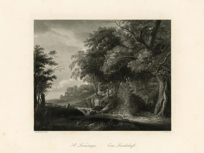Romantische Landschaft Wald Romantik Stahlstich um 1850 nach Gray Ant. Waterloo - Bild 1 von 2