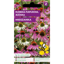 5903837303250 Rudbekia purpurowa, Jeżówka/E...