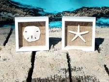 Starfish & Sand Dollar Wall or Shelf Decor Set | Woven Burlap Background | 6 x 6