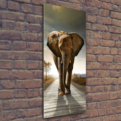 Panneau De Cuisine Sur Verre Tulup - 125x50cm - Éléphant Qui Se Promène - Moderne