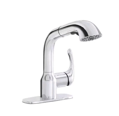 Dunning Single-Handle Pull-Out Laundry Faucet with Dual Spray Function USED 