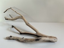 Manzanita Driftwood, Reptile Tank Decor, Aquascape, Terrarium, Aquarium Wood