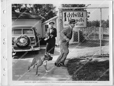 o11083 1951 orig photo Dick Powell and a fine boxer dog, Joyce Holden film You N