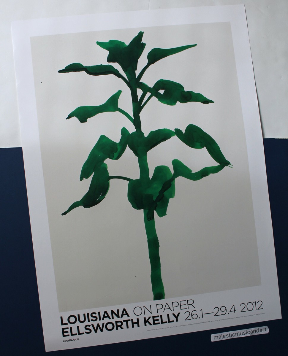 Ellsworth Kelly Sunflower (1957) Poster Sunflower (1957) poster by Ellsworth Kelly – Salts Mill Shop