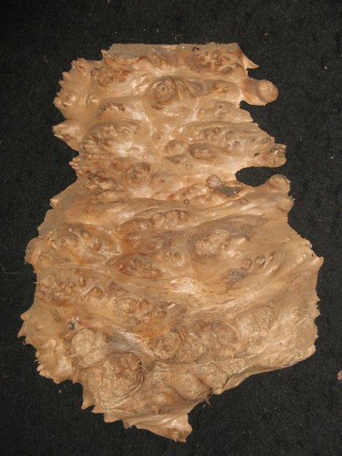 Maple Burl Natural Cap Craft Art Piece 11" Turning Blank lace