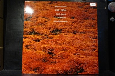 Kenny Wheeler - Gnu High