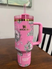 Target x Stanley x Wicked For Good FlowState Quencher Tumbler 40oz Ozian Reprise