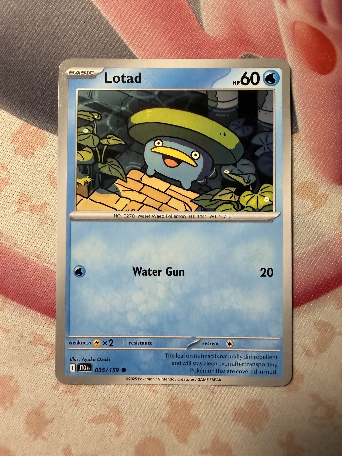 Lotad Common SV09: Journey Together 035/159 NM English