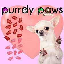 Soft Nail Caps For Dog Claws ( VALENTINES Combo )  Purrdy Paws * up to XXL