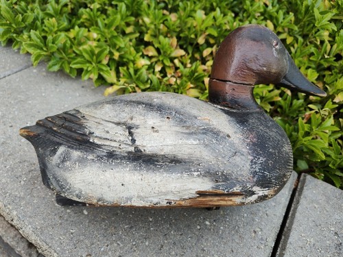 Ben Schmidt or John Kalash Carved Canvasback Drake Duck Decoy Very Rare - Picture 3 of 24