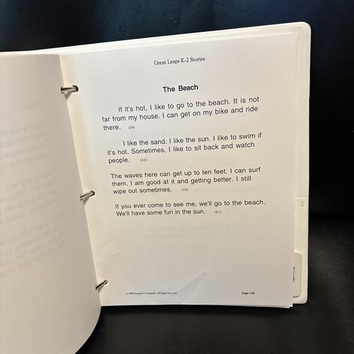 Great Leaps Reading 3 Ring Binder Campbell Mercer K-2 - Foto 9 di 13