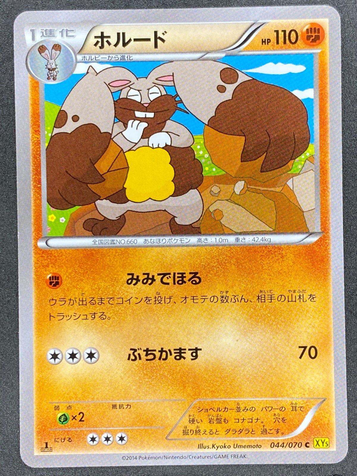 Pokémon Japanese Diggersby 044/070 XY5 Gaia Volcano 1st Edition NM