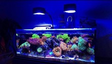 AquaIllumination 16HD - Black 2x