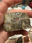 Lot Of Gembone Wood Polished Faced Slabbed  Coprolite 5-7 Pounds Of Beautiful Ut — photo 10