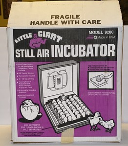 Egg incubator singapore