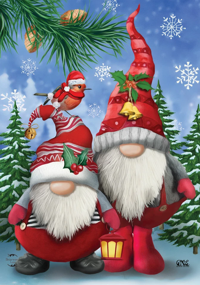 Invierno Gnomos Navidad Casa Bandera Humor Santa Sombrero 28" x 40 Briarwood Lane Foto 2 de 4