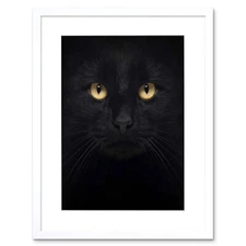Photo Composition Close Up Pet Black Cat Face Eyes Framed Wall Art Print