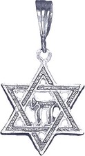 Sterling Silver Jewish Charm Star of David with Chai Pendant Necklace with Chain