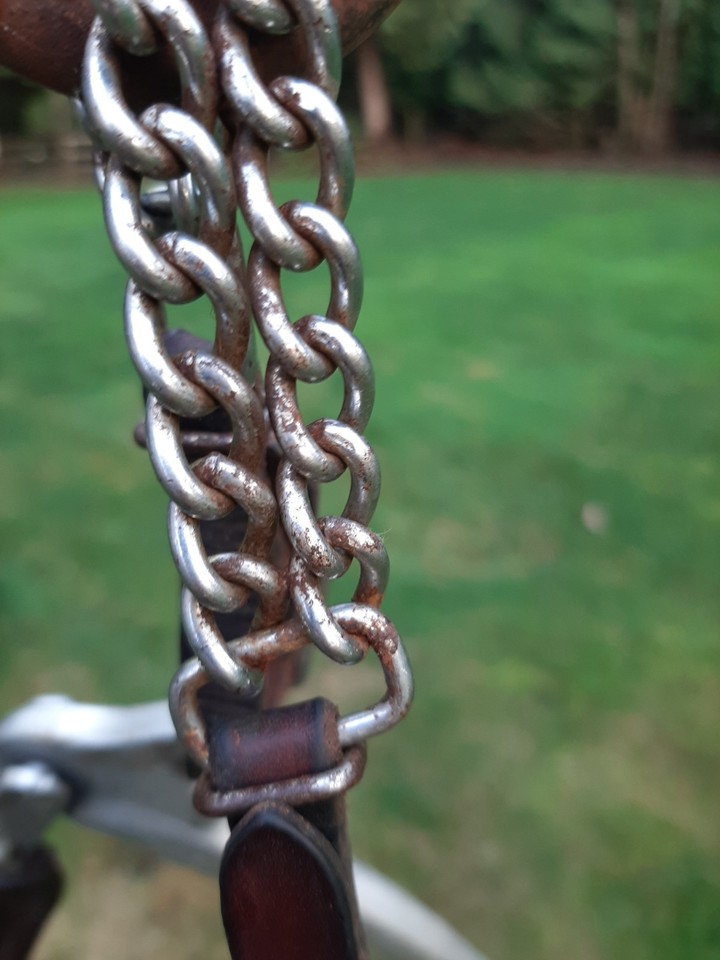 Hackamore en acier inoxydable avec de longues tiges et un nez avec une