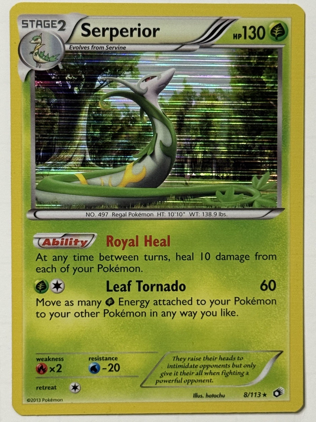 NM Serperior 8/113 Legendary Treasures Holo