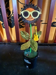 Rock N Flowers | eBay