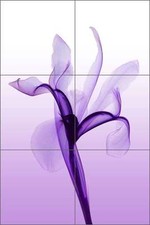 Ceramic Tile Mural Backsplash Pham Iris Flowers Floral Art OB-HP08