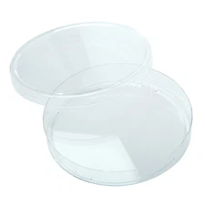 CELLTREAT 150mm x 20mm Petri Dish, 100/Case, Sterile, #229653