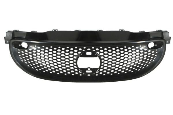 BLIC 5601-00-3503995P Radiator Grille for SMART