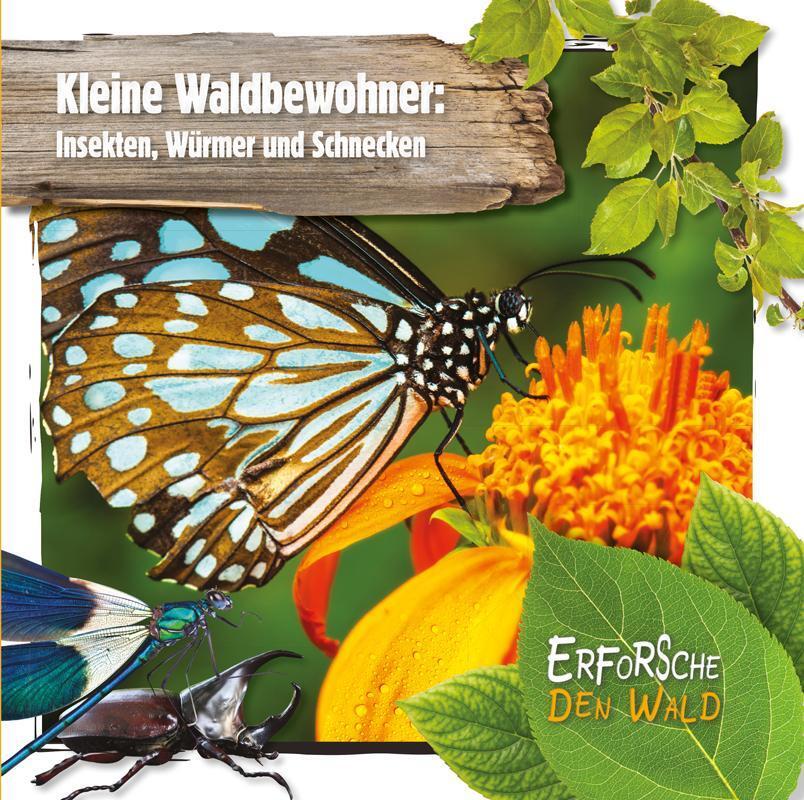 Thumbnail - Kleine Waldbewohner: Insekten, Würmer Und Schnecken, Robin Twiddy
