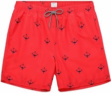 Biwisy Mens Swim Trunks Quick Dry Swim Shorts with Mesh Lining Funny Beach Short