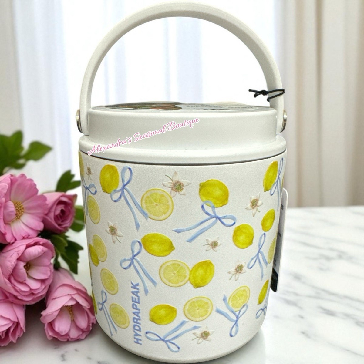 HydraPeak Food Insulated Food Jar Thermos Stainless Steel 25Oz