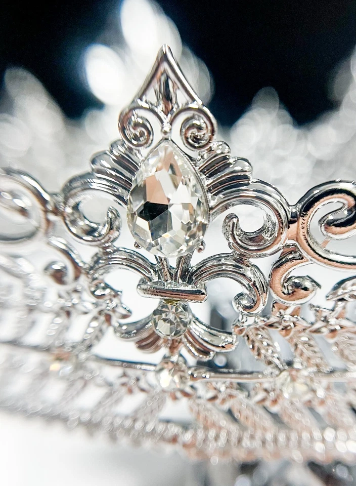 Corona de Plata Rey León, Corona de Boda Príncipe, Corona de Cristal Transparente para Novio Foto 3 de 4