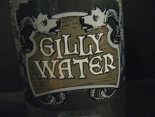 4 Gilly Water Bottle Diagon Alley Harry Potter Wizarding World Universal Studios