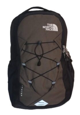 THE NORTH FACE Unisex Jester Backpack (New Taupe New Green