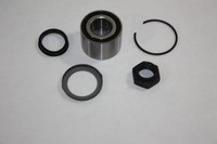 Radlagersatz Automega 110129710 FüR CitroËN 7A N3 7B S1 Peugeot 306 7C S0 Saxo 2
