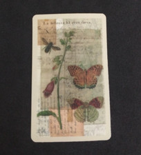Butterflies  Flowers Sticker 2.18" x 1.38" AE 